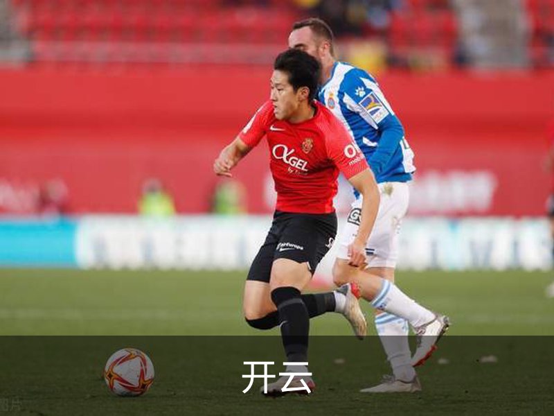 了解开云